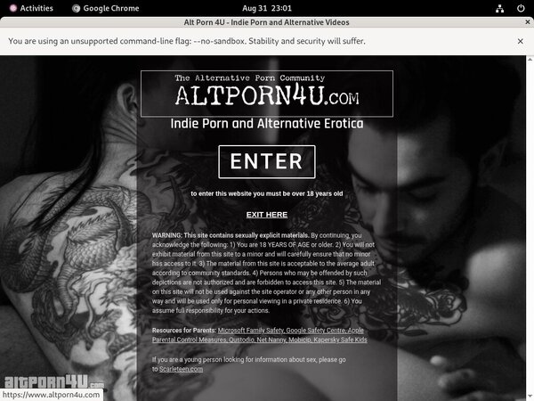 Altporn4u.com Cost
