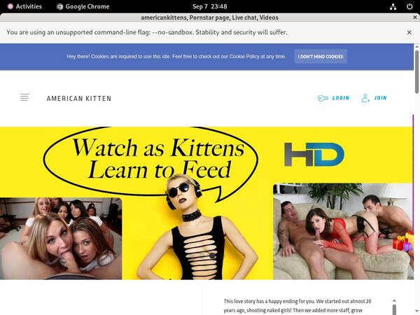 Americankitten.com Trial Membership Offer