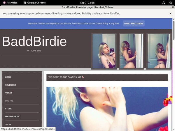 Baddbirdie.modelcentro.com Free Password