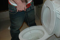 Boys Pissing Porn Stars s1