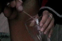 Boys-pissing.com Passcodes s1