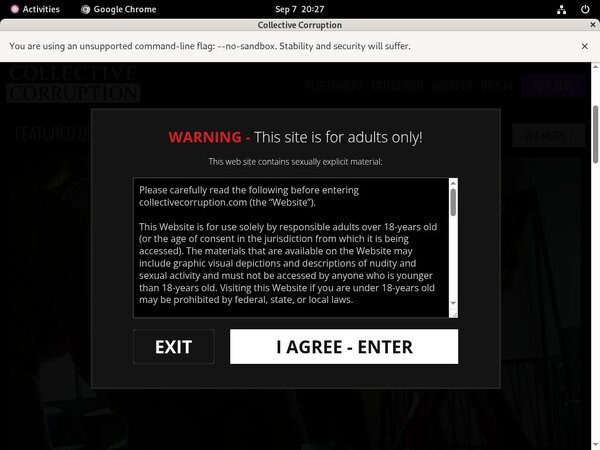 Collective Corruption Member Access Collective Corruption Member Access