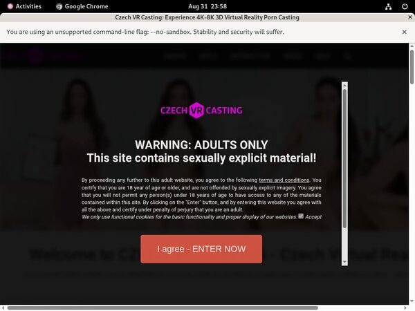 Czech VR Casting Member Access Czech VR Casting Member Access