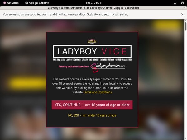 Discount Link Ladyboyvice