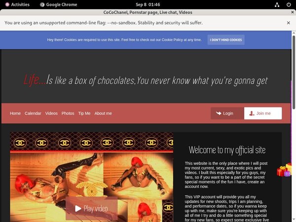 Free CoCoChanel Passwords