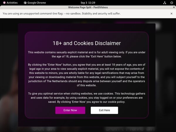 Free Feel X Videos Premium Account