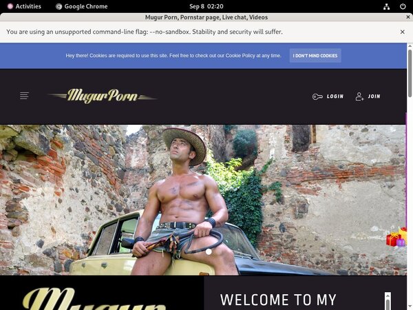 Free Mugur Porn User