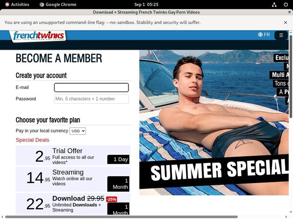 French Twinks Network Login