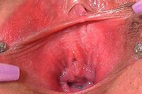 Gape My Pussy Live Cams s1 Gape My Pussy Live Cams s1