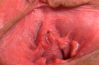 Gape My Pussy Paysite Passwords s0 Gape My Pussy Paysite Passwords s0