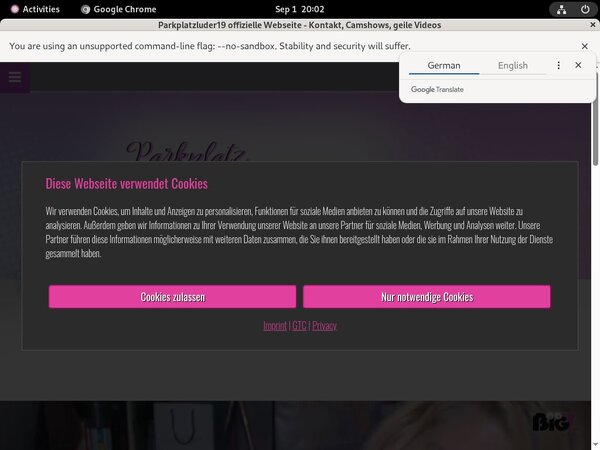 How To Get On Parkplatzluder19.com For Free