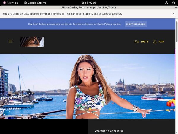 Inside Allisondesire.modelcentro.com