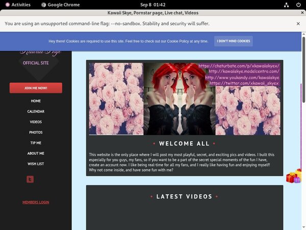 KawaiiSkye Password 2018