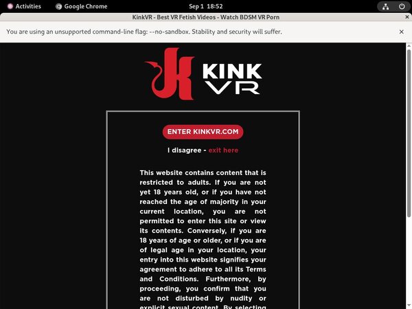 Kinkvr.com Membership Account