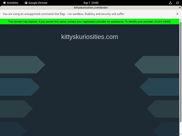 Kittyskuriosities.com Discount Review