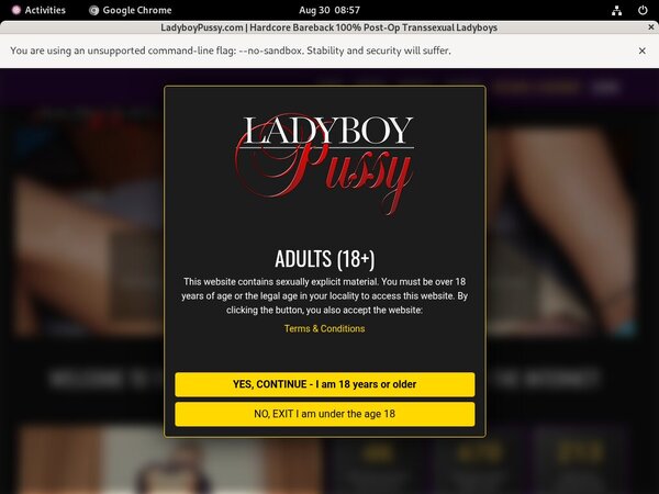 Ladyboy Pussy Rocketgate
