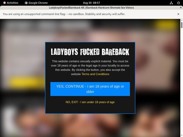 Ladyboys Fucked Bareback Daily Pass