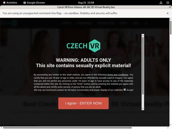 Login For Czech VR