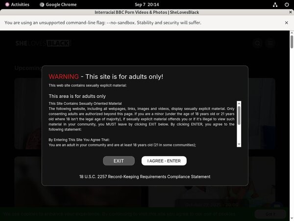 Logins For Shelovesblack Free