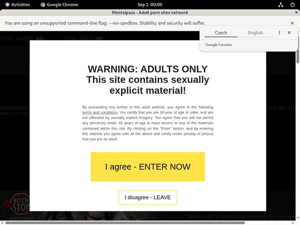 Mentalpass Pricing Mentalpass Pricing