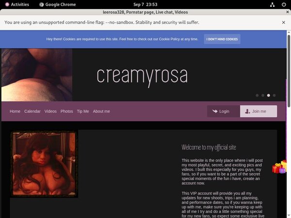 Pornhub Leerosa328.modelcentro.com