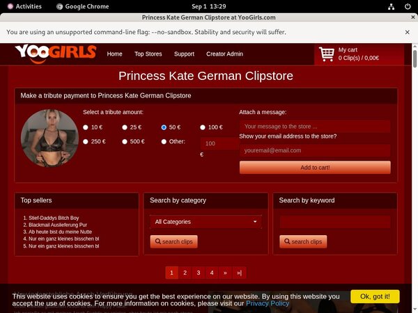 Princess Kate German Logon