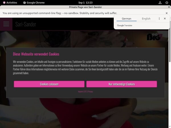 Sari Sander Site Discount