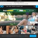 Spizoo Discount Acc