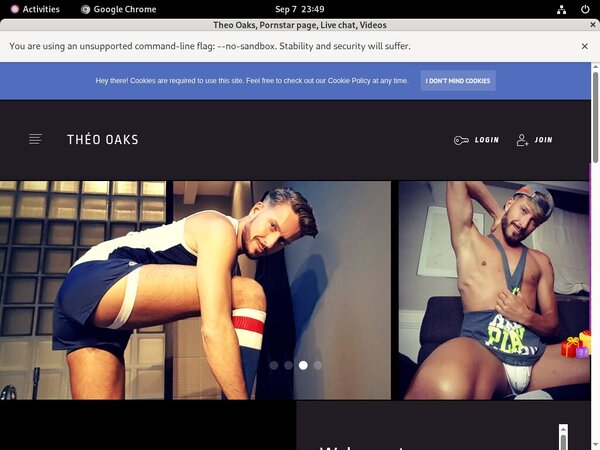 Theooaks.modelcentro.com Password Site