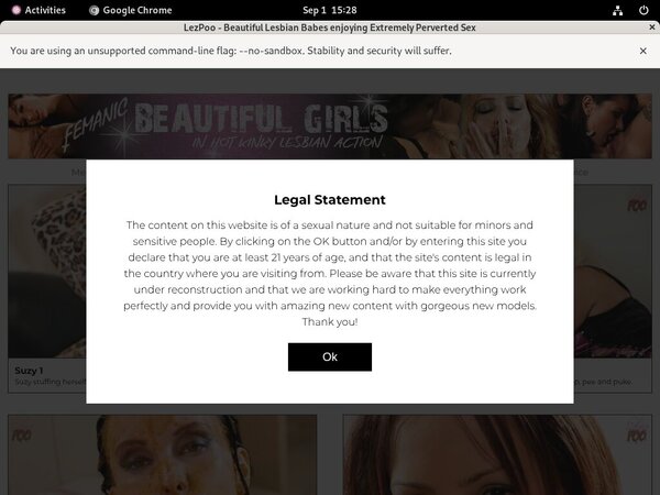 Username And Password For Lezpoo