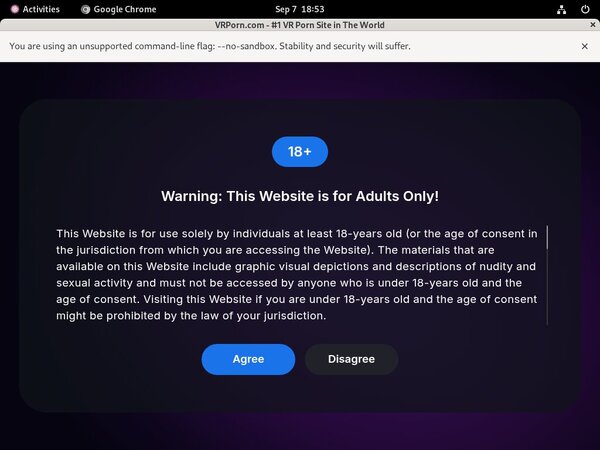 VR Porn Epoch Payment