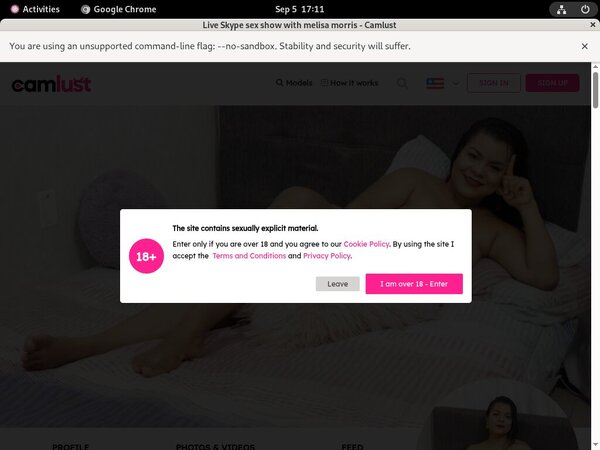 Working Camlust.com Login