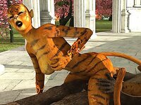 3DX Tube Epochstats s5