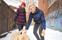 Beddableboys.com gay movies