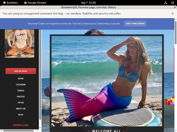 Strawberry19.modelcentro.com Vend-o.com